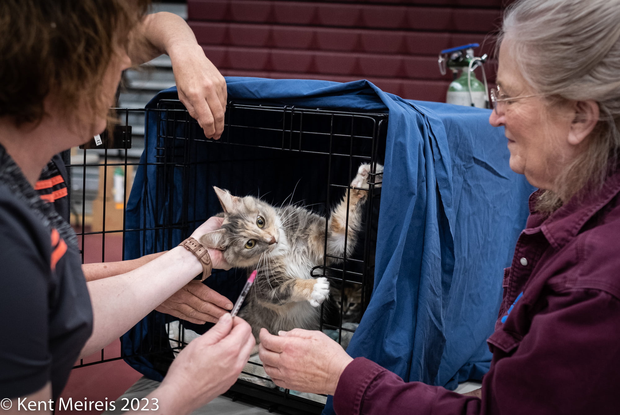 Arlee Spay and Neuter Clinic
